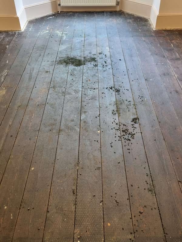 Old Wood Floor